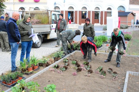 Újabb intenzív zöld szigetet alakítottak ki, ezúttal a Várfalparkban a szelfipont körül